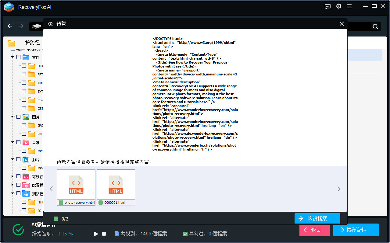 RecoveryFox AI 預覽網頁檔