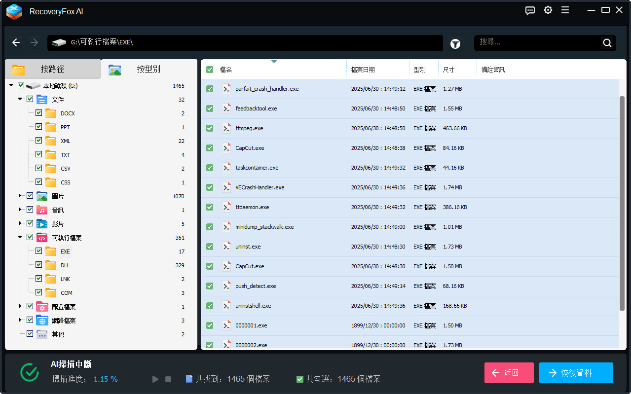 RecoveryFox AI 恢復選項