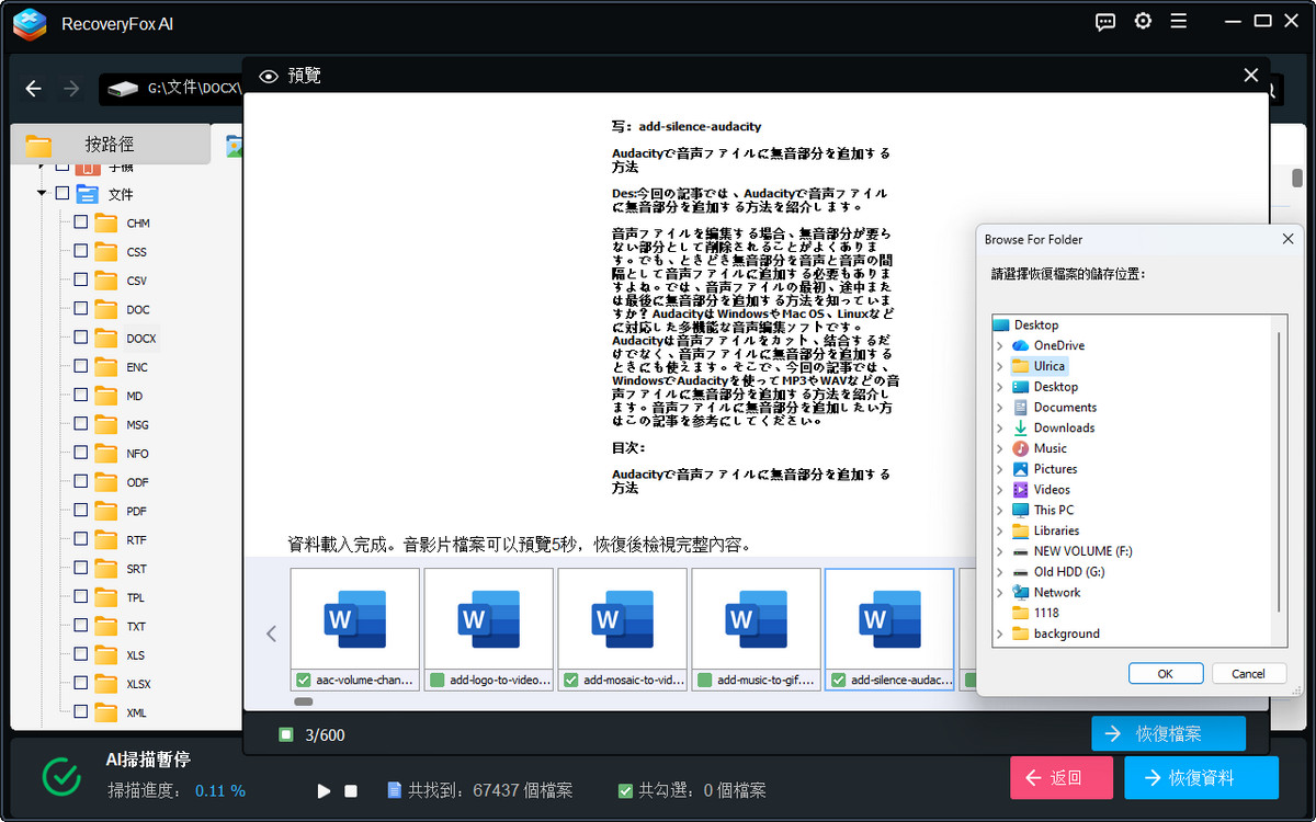 RecoveryFox 恢復與輸出介面