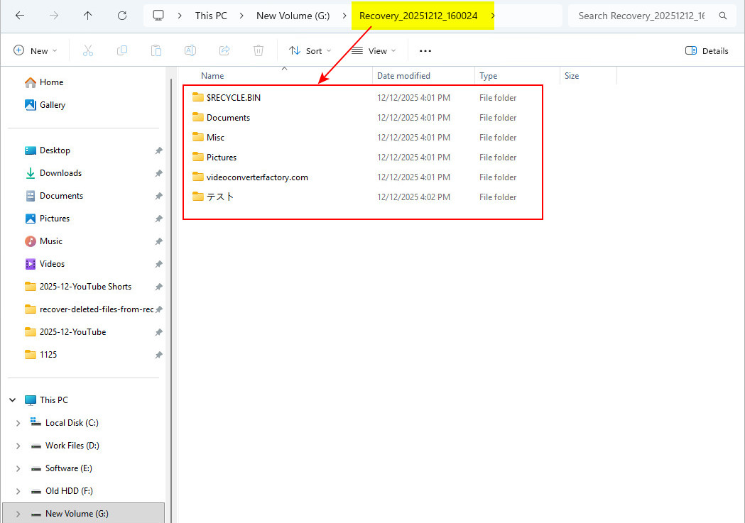 已恢復檔案的輸出結果畫面