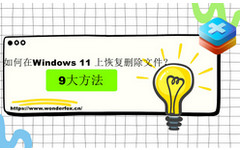 在 Windows 11 中恢复已删除文件