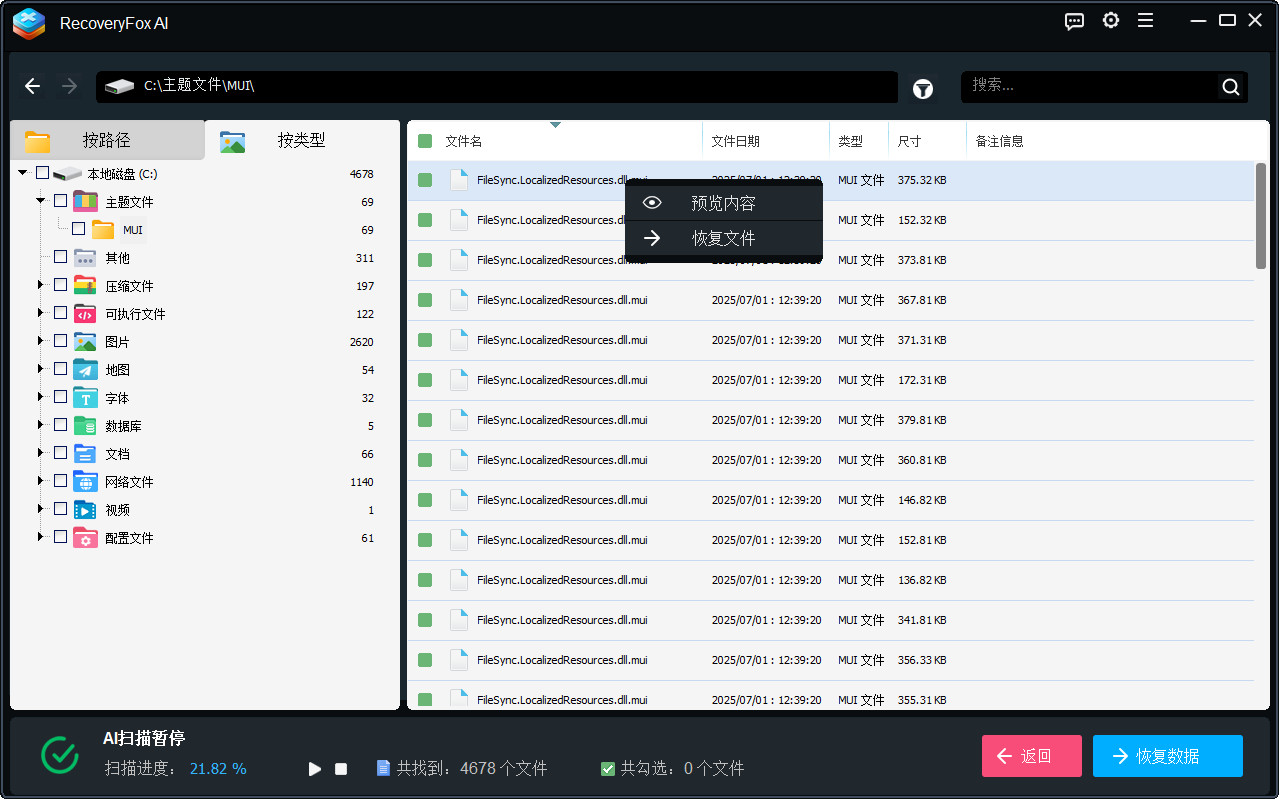 预览并从内部驱动器恢复文件