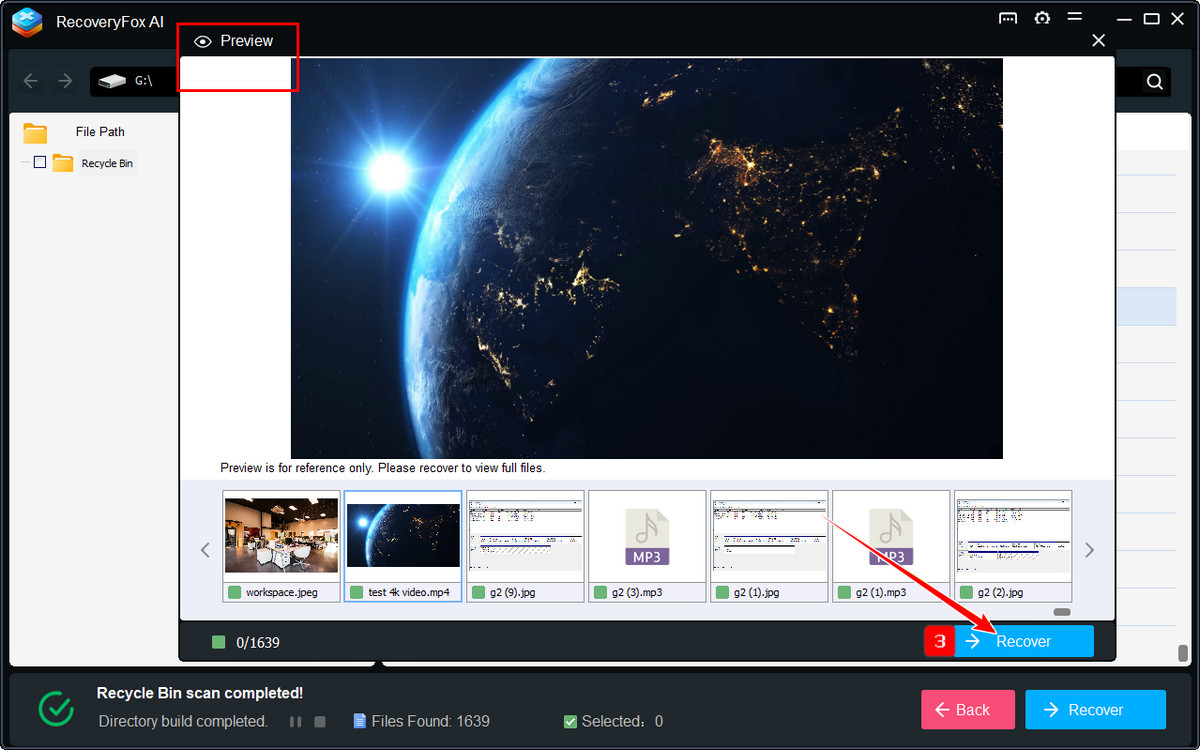 预览并恢复文件